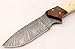 W Trading Custom hand made damascus steel blade gorgeous hunting knife with leather pouch. (2711)