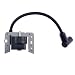 Everest Parts Supplies New Ignition Coil Compatible with Tecumseh HXL35 HXL840 HSK600 HSK840 HSK845 HSK850 LAV35 OVRM120 OVRM125 OHSK55 OHSK60 OHSK70 OHH45 OHH50 34443A 34443B 34443C 34443D