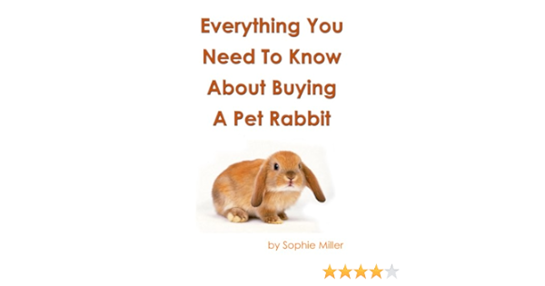 buy a rabbit