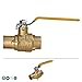 Everflow 405C034-NL Full Port Ball Valve with Drain, Forged Brass Construction w/Chrome Plated Brass Body with 3/4 Inch SWT, Blow Out Proof Stem Design, Stainless Steel Ball Handle with Vinyl Grip