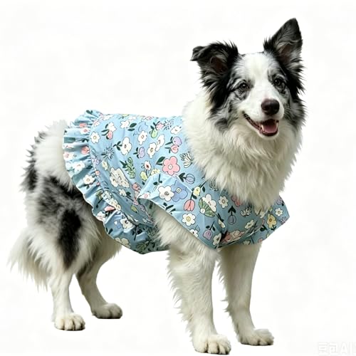 BAMY Large Dog Floral Dress,Princess Dogs Skirt, Summer Pet Outfit, Blue,XL at Amazon