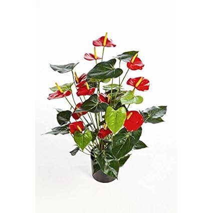 Artplantsde Bouquet Danthuriums Artificiel Rouge Deluxe 80cm Fleur Artificielle