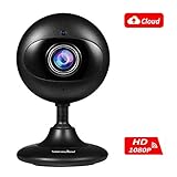 Wansview Wireless Security Camera, 1080P HD WiFi Home Indoor IP Camera with Motion Detection, Night Vision and Two-Way Audio for Baby/Elder/Pet/Nanny- Cloud Storage Included-Black