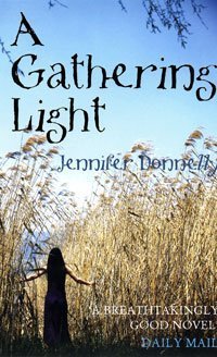 A Northern Light