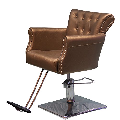 shengyu Classic Hydraulic Barber Chair Styling Salon Beauty