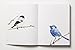 The Book of the Bird: Birds in Art