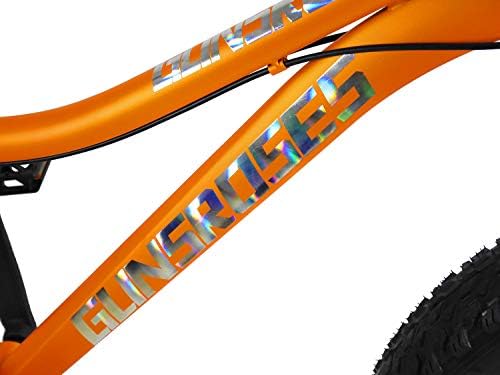 saigula fat tire bicycle
