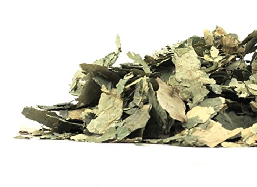 image for Ecstatic Earth Organic Lotus Leaf Dried ~ 1 Ounce Bag ~ Nelumbo nucife