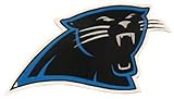 Carolina Panthers 12