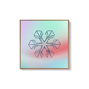 Framed Canvas Wall Art for Living Room, Bedroom Snowflake Theme Canvas Prints for Home Decoration Ready to Hang - 16x16 inches