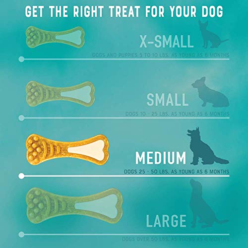 frontline oral defense