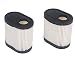 HIFROM Pack of 2 Replacement Air Filter for Tecumseh # 36905 740083A LEV100, LEV115, LEV120, LV195EA, OVRM65, OVRM105, OVRM120 Engine Toro Craftsman Lawn Mower Air Cleaner primary