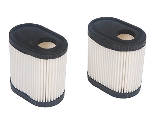 HIFROM Pack of 2 Replacement Air Filter for Tecumseh # 36905 740083A