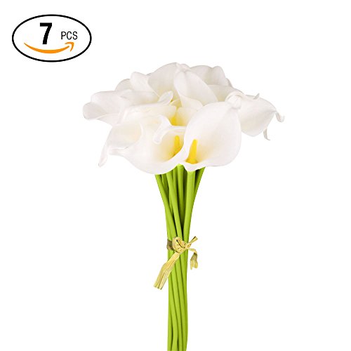 Very good, looks pretty