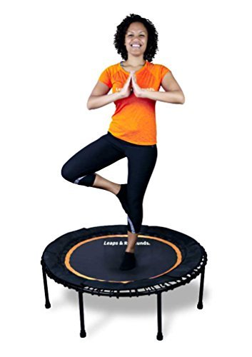 Leaps and ReBounds Bungee Rebounder Home Mini Trampoline 