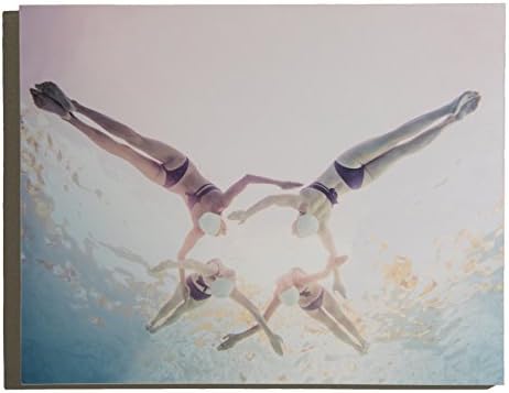 "Backflip" Underwater Photography on Wood Panel
