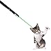 OCALER Professional Cat Catch the Beam Light Three Colors, Interactive Exercise Toy Pet Cat Training Tool, Green, Red, Blue