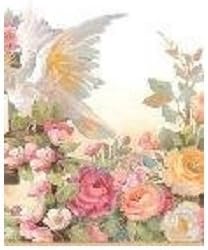 Blonder DB3729B Pink Roses Wallpaper Border