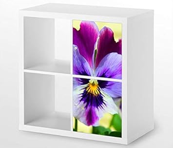 Mobelaufkleber Fur Ikea Kallax 2x Turelemente Vertikal Blume Stiefmuetterchen Kat7 Garten Bunt Pin Aufkleber Mobelfolie Tur Sticker Ohne Mobel 25g500 Amazon De Kuche Haushalt