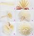 Fascola 12 pcs White Blue Tissue Hanging Paper Pom-poms, Hmxpls Flower Ball Wedding Party Outdoor Decoration Premium Tissue Paper Pom Pom Flowers Craft Kit