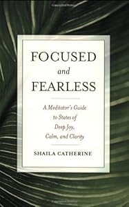 Focused and Fearless: A Meditator's Guide to States of Deep Joy, Calm, and Clarity by Shaila Catherine (2008-04-28)