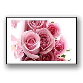 Framed for Living Room Bedroom Rose Flowers for