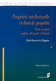 Propriété intellectuelle et droit de propriété