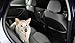 Outward Hound Pupstop Car Seat Barrier Safety Auto Gear for Dogs
