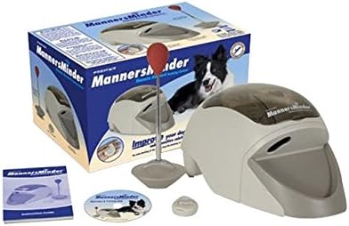 manners minder dog training