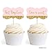 Andaz Press Blush Pink Gold Glitter Print Wedding Collection, Fancy Frame Cupcake Topper DIY Party Favors Kit, 18-Pack