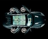 Gogolighting LED Car Door Laser Projector Ghost Shadow Step Light Logo FOR ACURA ILX TSX TL RLX RDX MDX ZDX RL DL EL NSX CL CSX Integra All series -Pack of 2