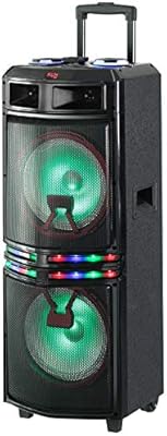 qfx 2x10 portable party speaker