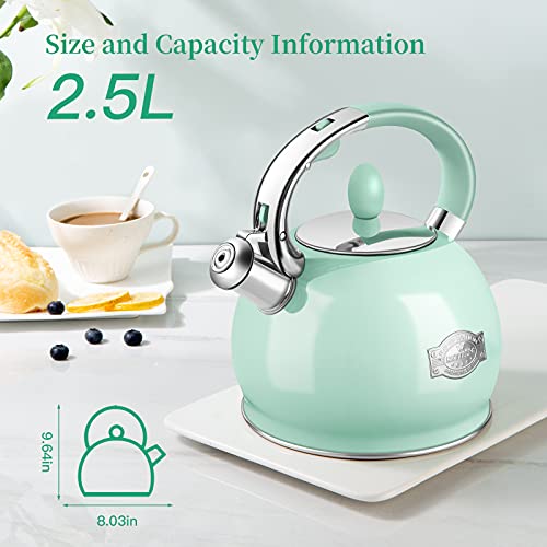 RETTBERG Tea Kettle for Stovetop Whistling Tea Kettles Modern Green