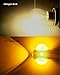 AUXITO Amber Yellow 3056 3057 3156 3157 4157 3030 Chipsets SMD LED Bulbs with Projector for Car Turn Signal Lights, (Pack of 2)