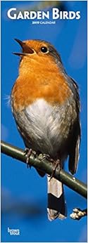 Garden Birds 2019 Slim Calendar Garden Birds 2019 Slim Calendar