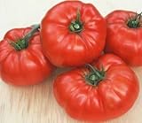 David's Garden Seeds Tomato Beefsteak S00030 (Red) 50 Heirloom Seeds
