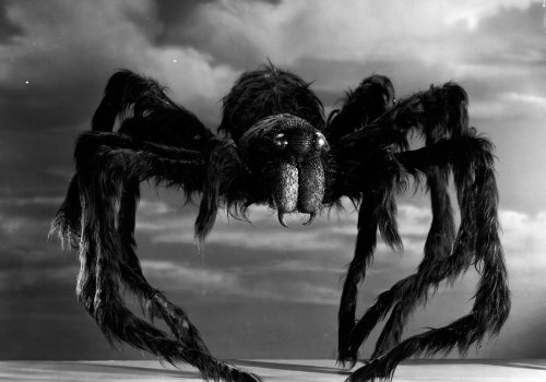Tarantula 3