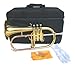 New Brass Flugel Horn w/Case.Approved+Warranty