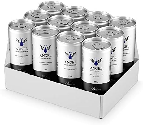 Natural Still Water 330 ml Cans 12 per Pack Angel Revive