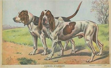 Chiens Dartois Mahler P Amazoncom Books