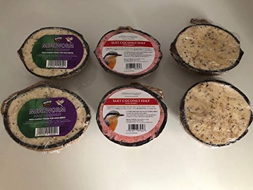 Wild Bird Suet Filled Half Coconuts (Pack of 6) Mixed Flavours (Berry/Mealworm/Original)