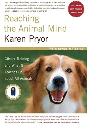 Excel-erated Learning: Explaining in plain English how dogs learn
