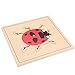 LEADER JOY Montessori Nature Materials Ladybug Puzzle for Early Preschool Learning Toy