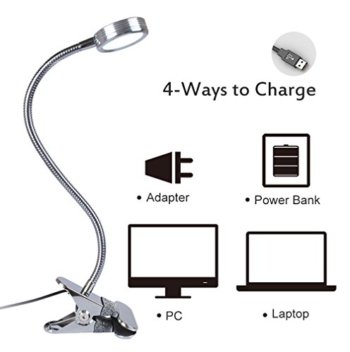 LEPOWER Clip on Light / Clip on Lamp/ Light Color Changeable/ Night Light Clip on for Desk, Bed Headboard and Computers (Silver)