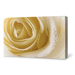 Canvas Wall Art for Living Room,Bedroom Home Artwork Paintings Close-up of Flower Ready to Hang - 12x18 inches