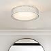 VICNIE 20W LED Ceiling Light, 14 Inch Flush Mount Lighting Fixture,1400 Lumens 3000K Warm White, Dimmable, ETL Listed for Kitchen, Hallway, Bedroom, Stairways (Metal Body and Acrylic Shade)