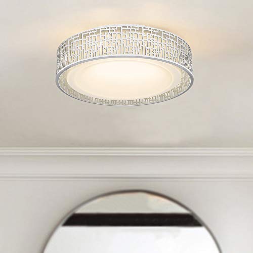 20W LED Ceiling Light, VICNIE 14 Inch Flush Mount Lighting Fixture,1400 Lumens 3000K Warm White, Dimmable, ETL Listed for Kitchen, Hallway, Bedroom, Stairways (Metal Body and Acrylic Shade)