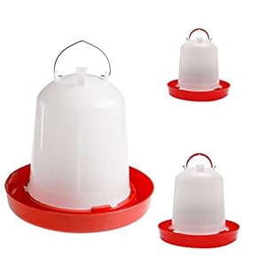 ypypiaol, mangiatoia per pollame, Anatre, Uccelli, pollame, Galline, quaglie, Bantam, Cibo, Acqua, Fattoria, Animali