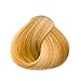 Goldwell Topchic Hair Color Coloration (Can) 9GB Sahara Blonde Extra Light Beige