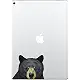 FINCIBO 5 x 5 inch Cochin Chicken Removable Vinyl Decal Stickers for iPad MacBook Laptop (Or Any Flat Surface)